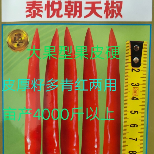 扶沟县泰悦单生朝天椒种子~中早熟抗病性强油亮顺直结果能力强