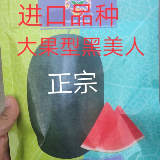 扶沟县新超人黑美人种子  新超人黑美人西瓜种子~大果商品性强1