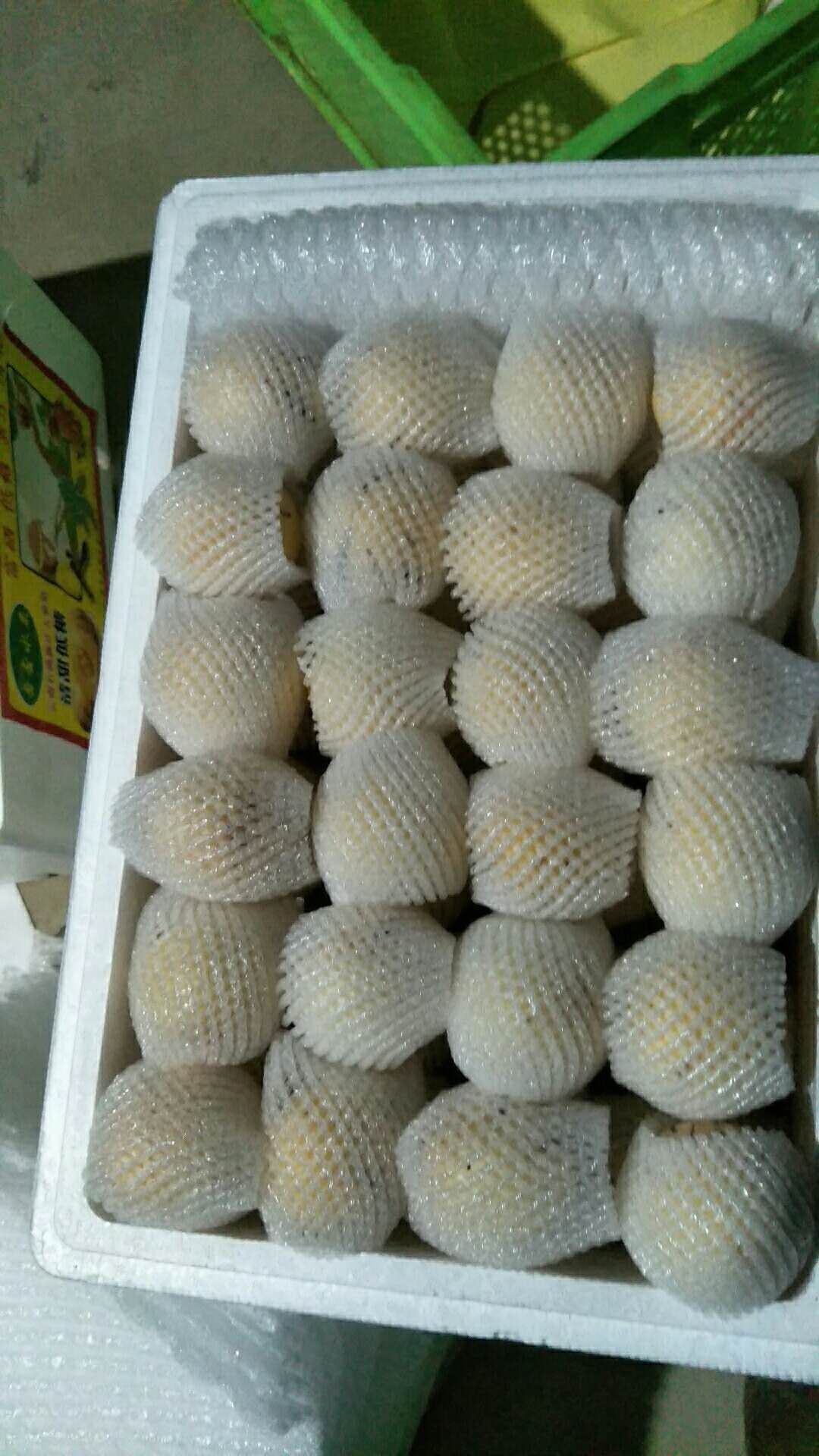  陆良人参果预售
