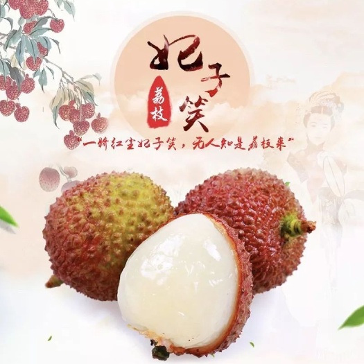 合江县妃子笑荔枝 2cm