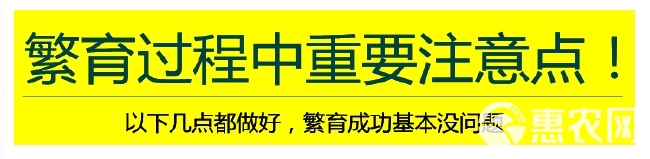 光合细菌培养基水产养殖光合细菌菌种繁育套餐海淡水通用光合细菌