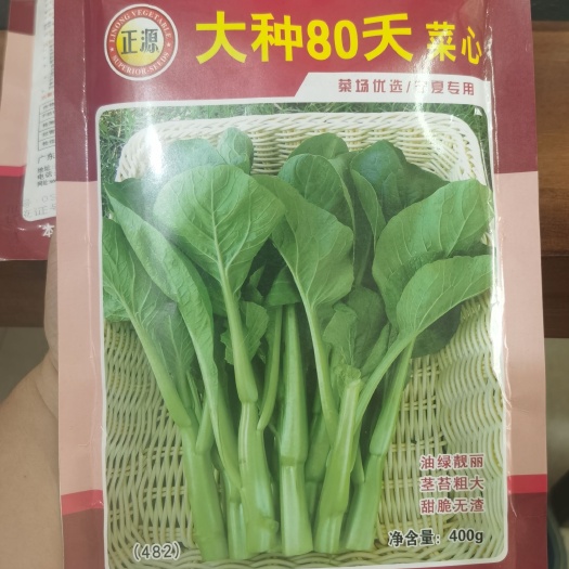 菜心种子大种80天菜心菜场优选宁夏专用茎苔粗大油青味甜可口。