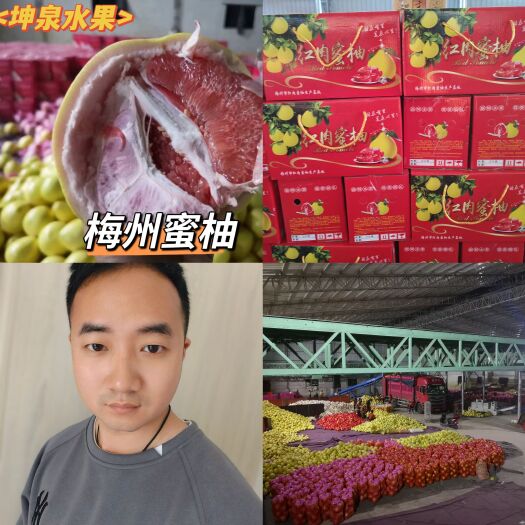 广东梅州红心柚  琯溪红心蜜柚产地直供 实力代办 货源充足