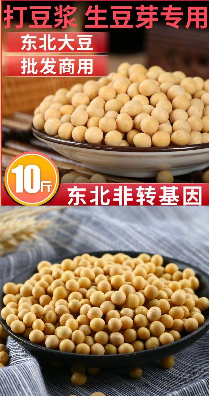 東北小黃豆發(fā)豆芽黃豆非轉(zhuǎn)基因古老小黃豆豆?jié){小黃豆包郵