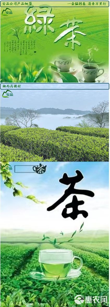 湘西高山绿茶/毛尖茶[原产基地直销]