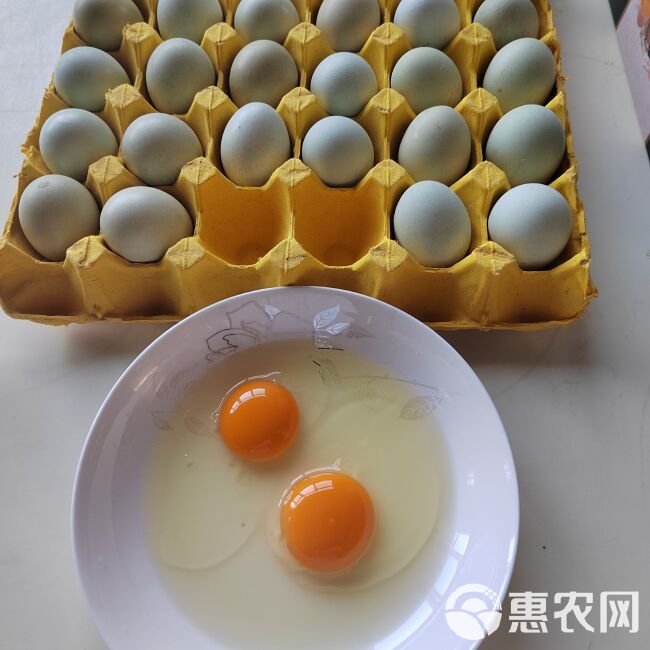 京山乌鸡蛋基地直供，乌骨鸡吃玉米小麦稻谷，蒸煮煎炒都为金黄