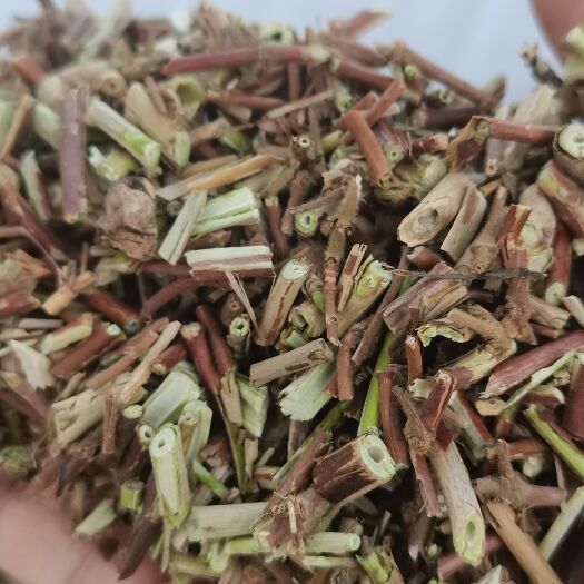 忍冬藤  金银花树藤