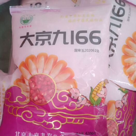 商丘适应性广★综合抗性好★籽长粒深结实性好★粒重产量高★抗倒性强
