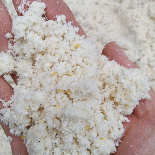 沈丘县发酵豆渣饲料