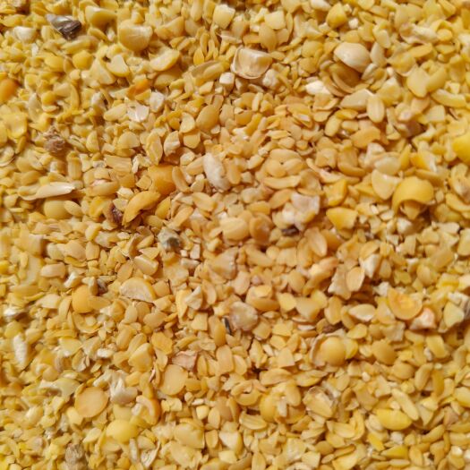 菏泽本厂常年出售碎大豆，上地肥料豆，养殖饲料豆，榨油压饼膨化豆
