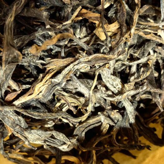 古树普洱茶