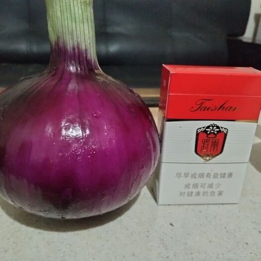 德州紫色洋葱，皮厚味甜，微辣。口感好，个头大。山西杂交品种！