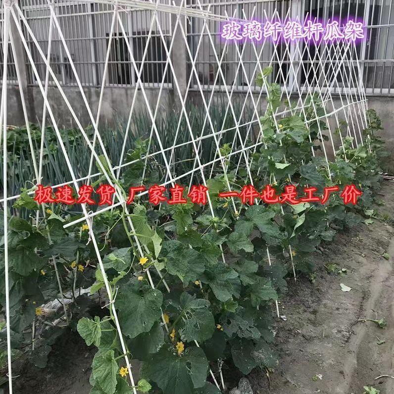 小拱棚支架地膜拱条杆大鹏骨架支撑杆家用菜棚爬藤育苗防风拱棚杆