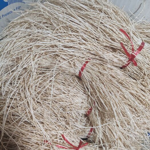 罗定市优质精品现洗新鲜白茅根批量零售全国发货