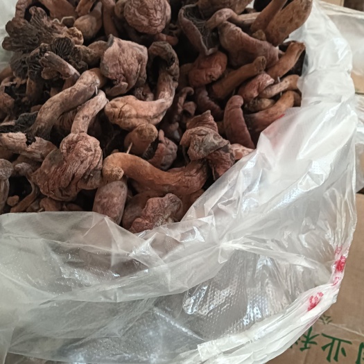 敖汉旗内蒙古的红磨等有货，好吃有营养，长年有货，量大优惠，欢迎光临