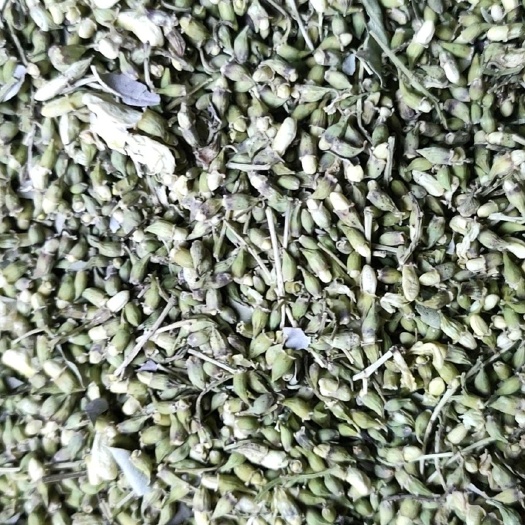 涉县山货药材