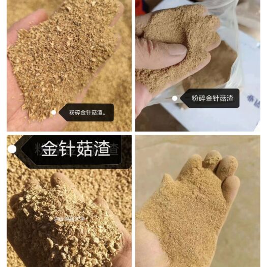正定县金针菇渣。