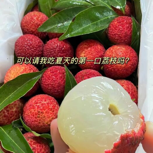 博白县荔枝妃子笑