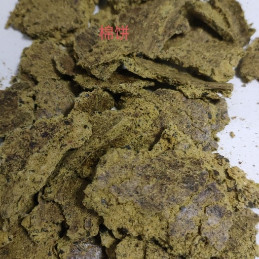 正定县棉饼
