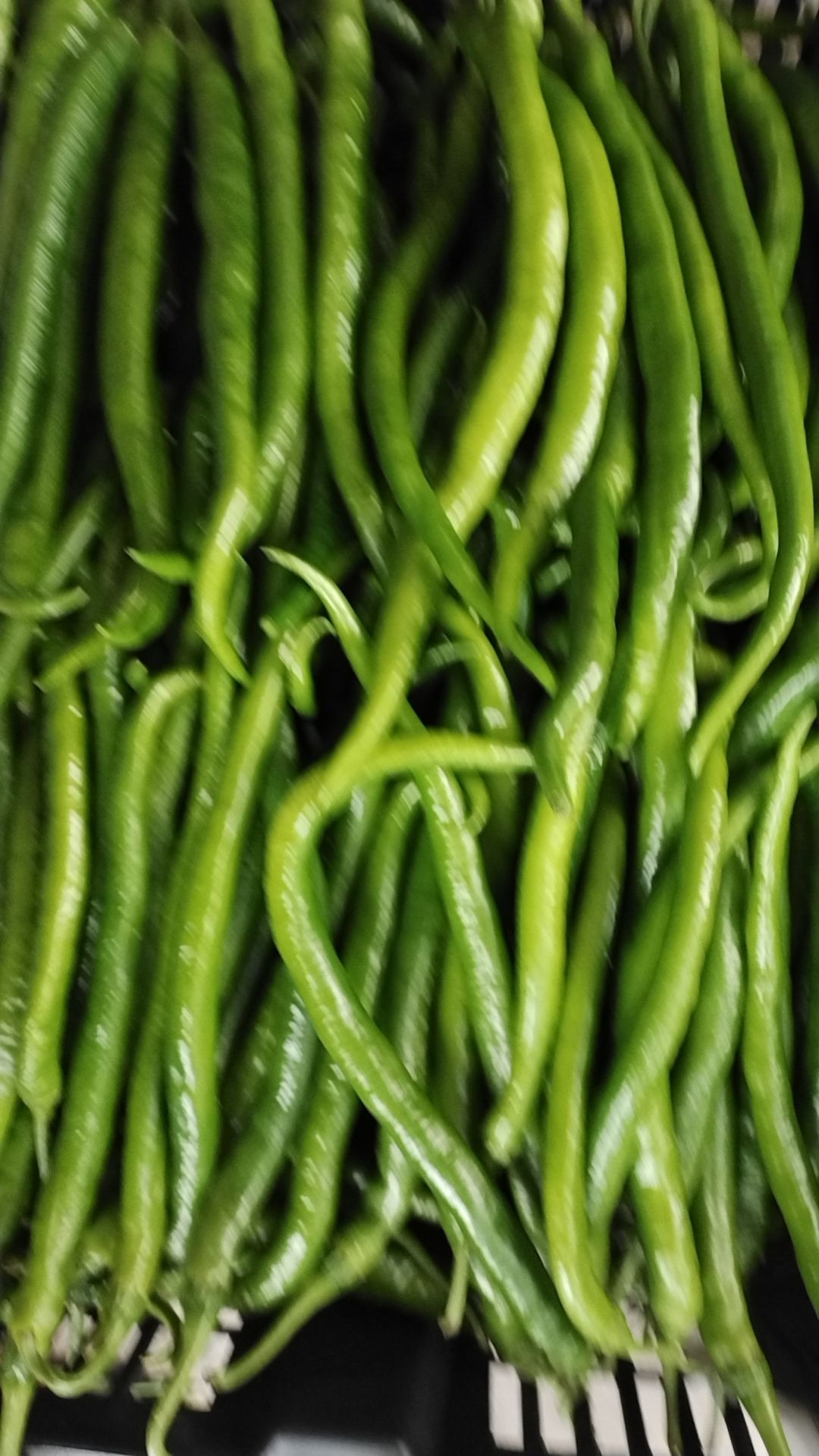 线椒