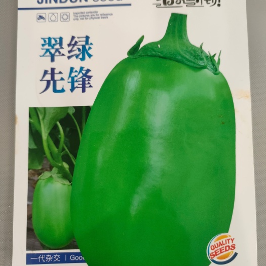 郑州大果绿茄子种子