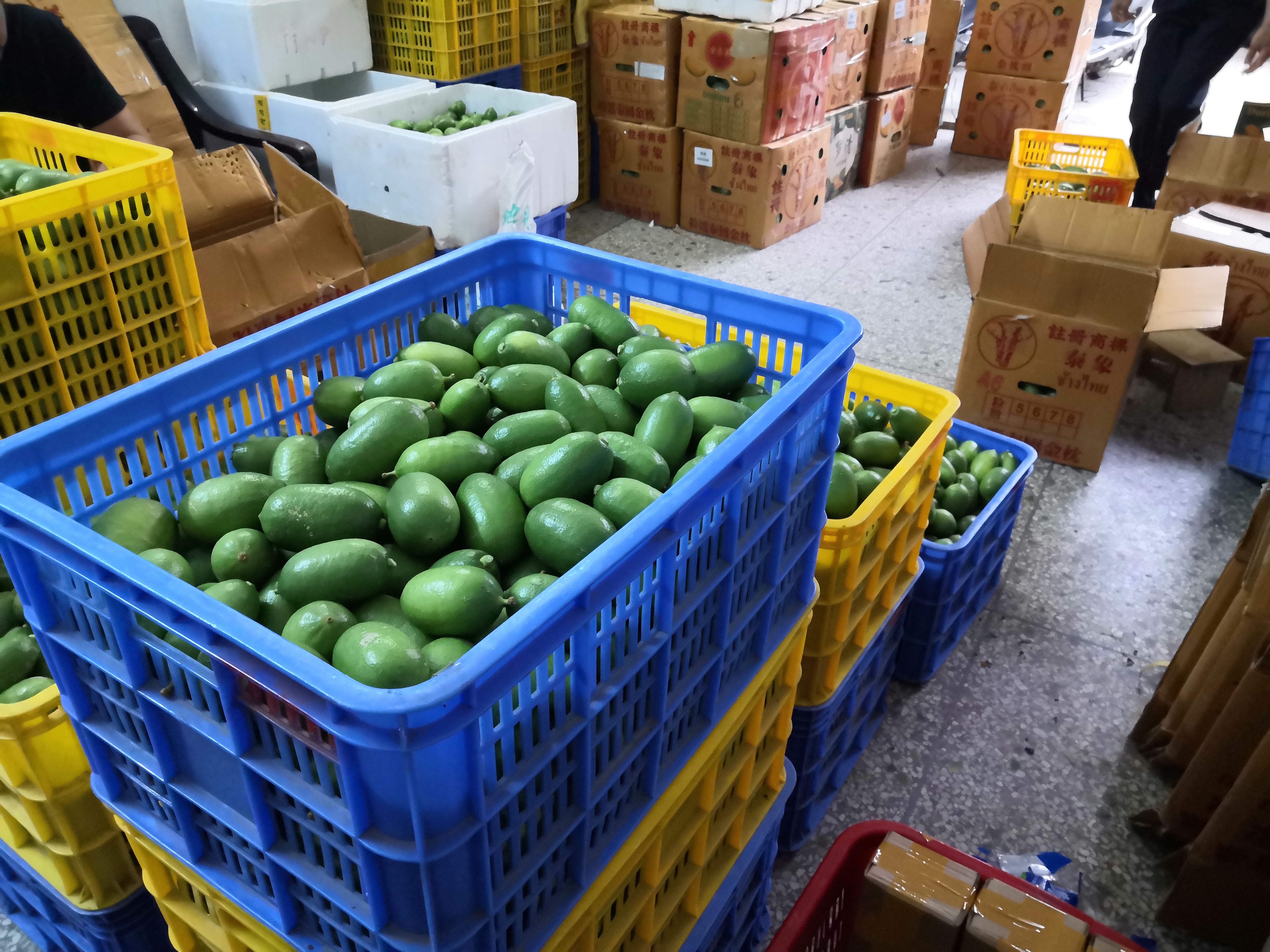 海南香水柠檬子弹头青柠檬饮品专用新鲜香味浓郁电商一件代发批发