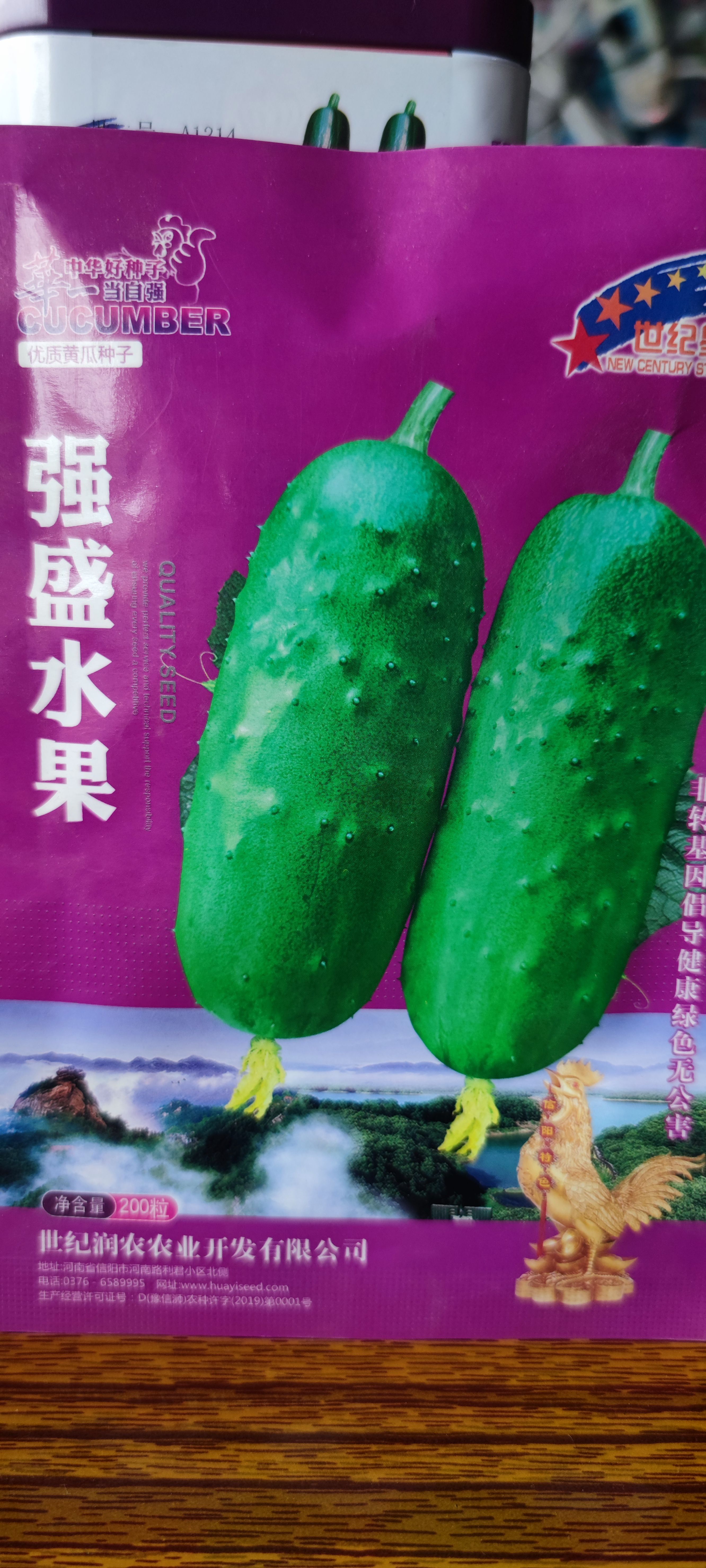 夏邑县水果黄瓜种子  强盛水果黄瓜种子 有光泽高
