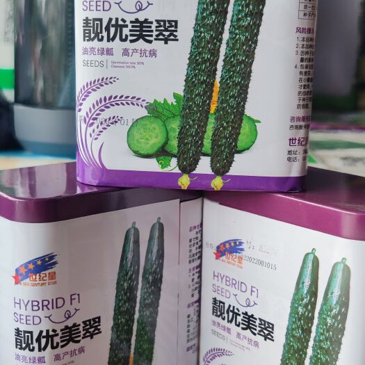 靓优美翠