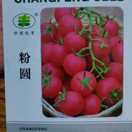 夏邑县中农长丰粉圆番茄种子长势好坐果好口感好抗病好耐低温抗高温