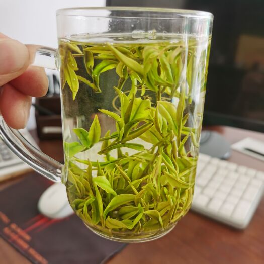 安吉县安吉白茶产区黄杜