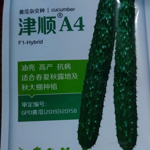 津顺A4