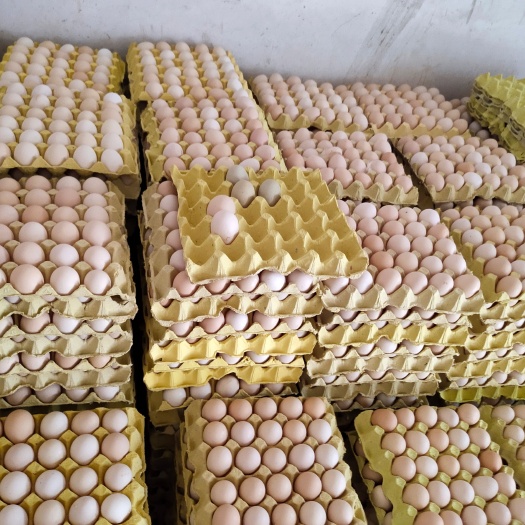 郓城县精品粉蛋
