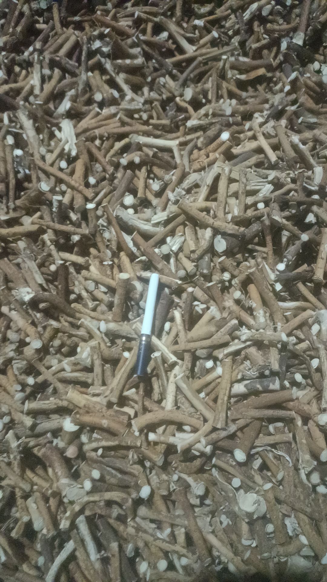 五指毛桃小节中节靓货！有喜欢的来聊聊