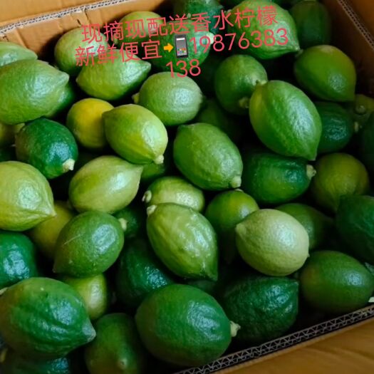 广州新鲜自家果园采摘香水柠檬