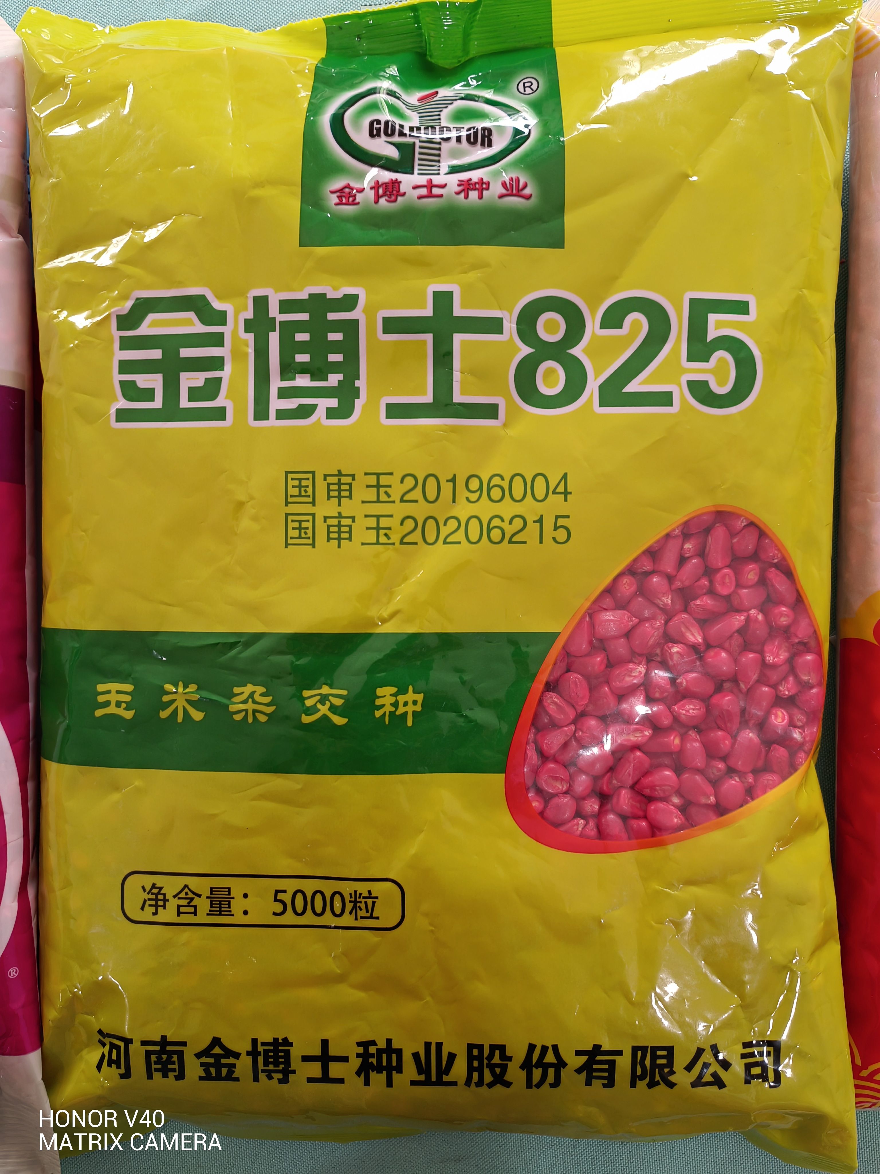 郑单958玉米种子,良玉99,金博士825,华农866