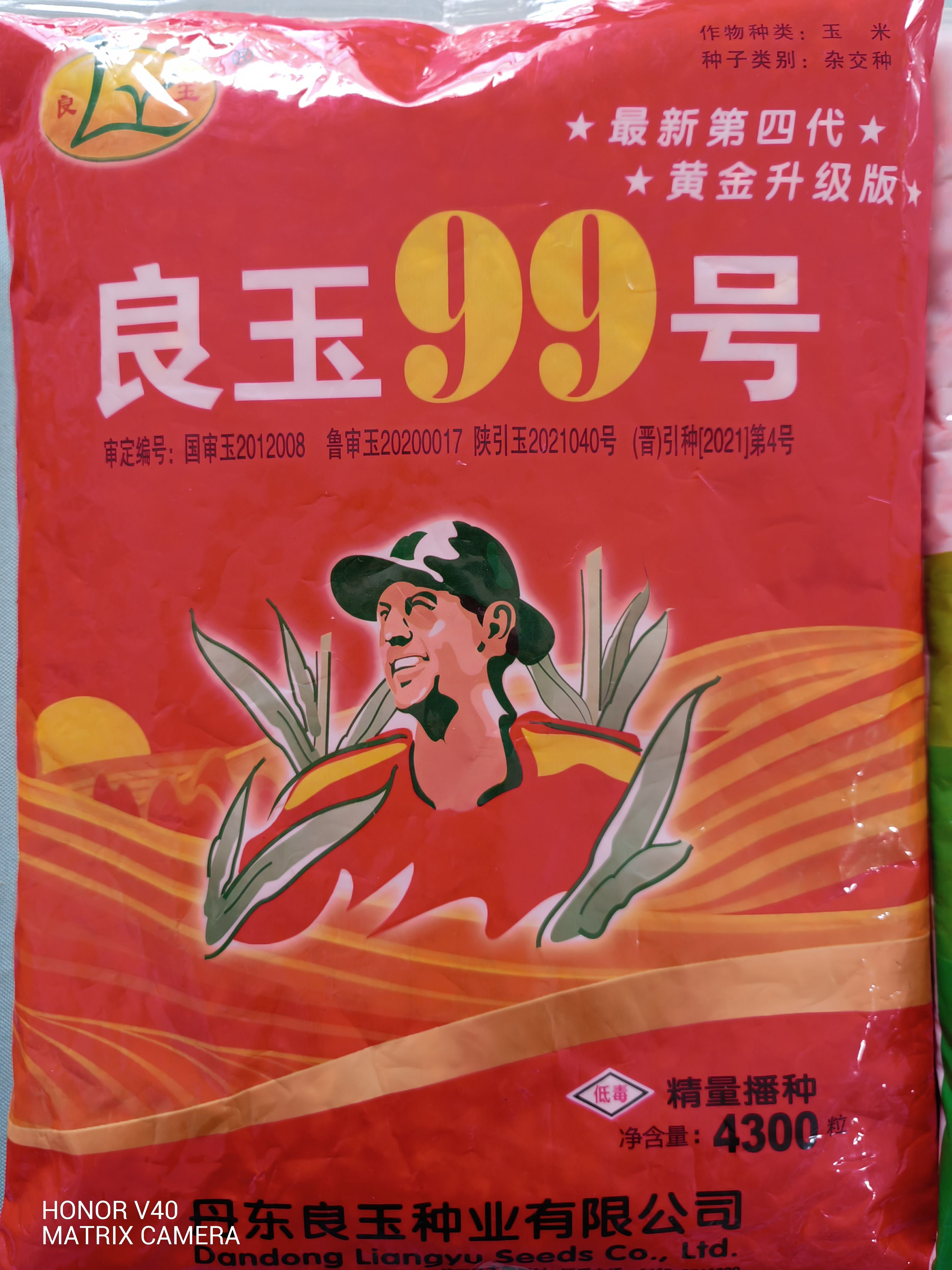郑单958玉米种子、良玉99、金博士825、华农866