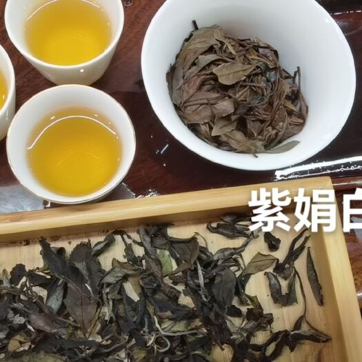 麻栗坡县白茶肥嫩显毫汤色：杏黄或橙黄香气：花果香或花青素气显滋