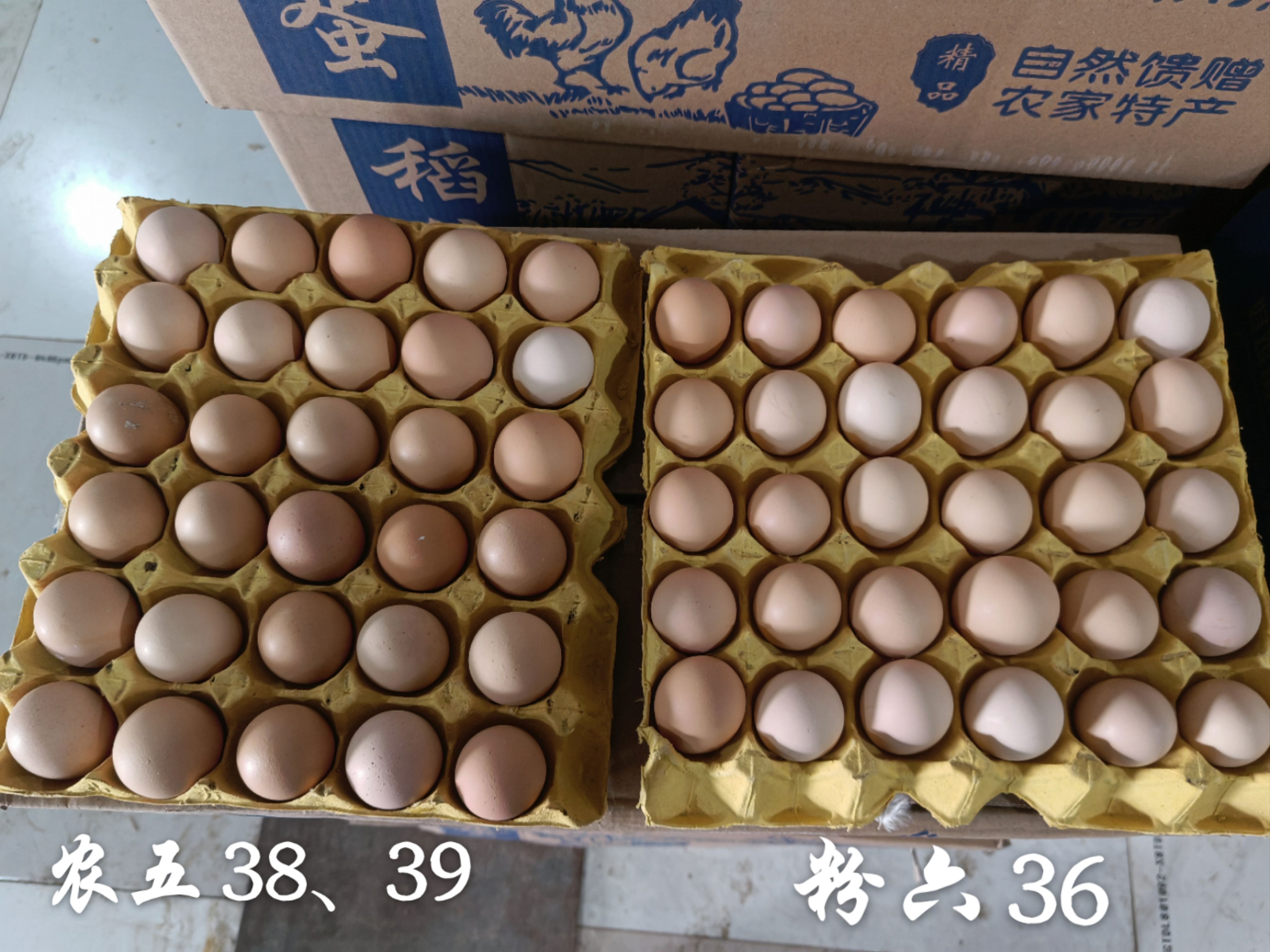 农五 38、9斤，低价出售