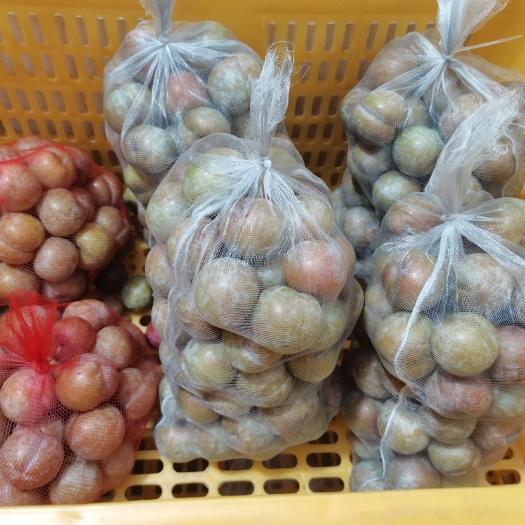 苍梧县钱排三华李！一万斤待售！批发价三元一斤！不包邮！量大从优！