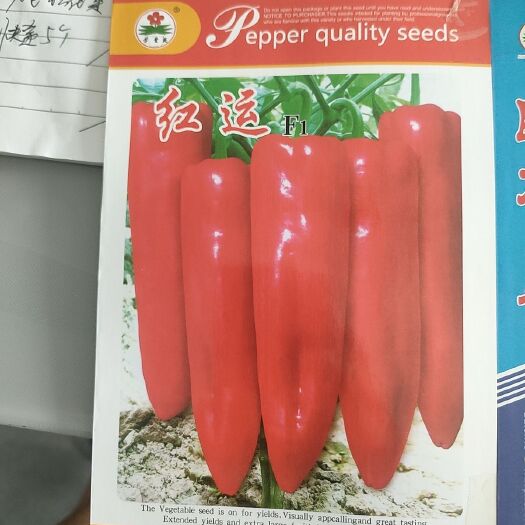 郑州红泡椒种子