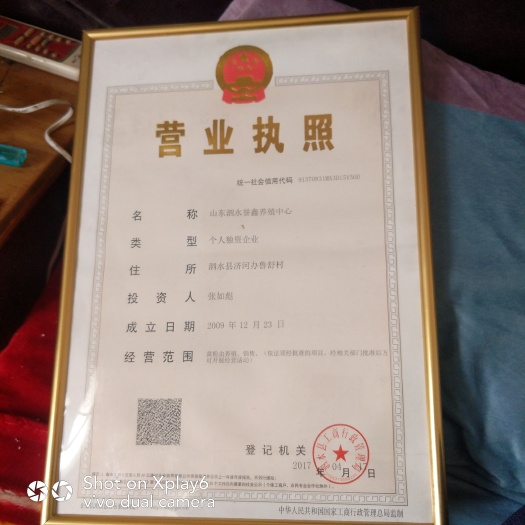 黄粉虫供应，批发，养殖，加工，送货上门，也可自提