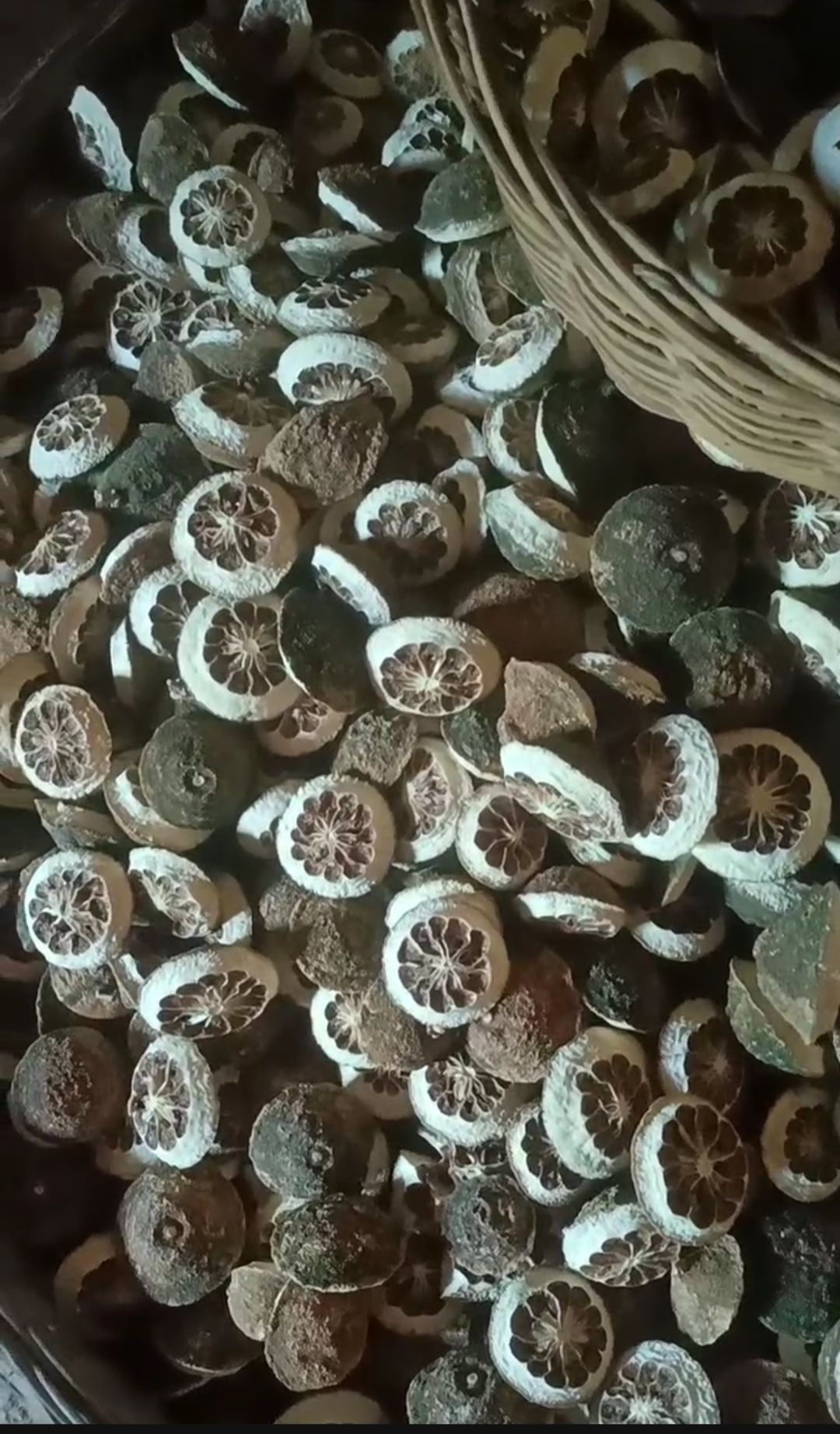 枳壳  枳实现货供应