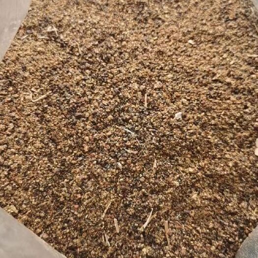 青岛菜粕 蛋白含量最低36%