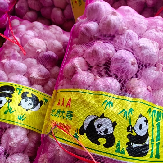 河南杞县太空紫皮大蒜上货量遍大
