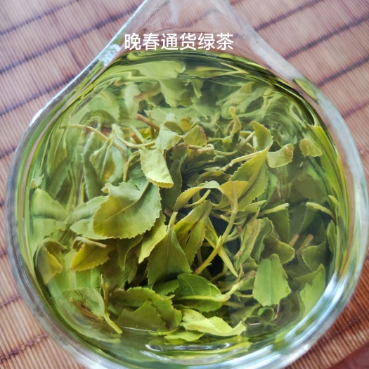 日照晚春通货绿茶～5.19号原产地露天头采日照绿茶新春茶