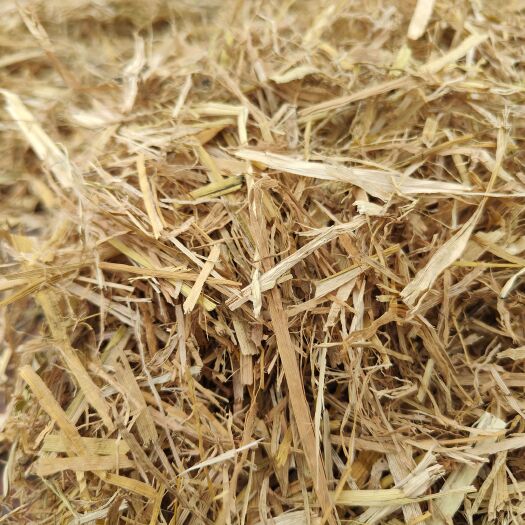 唐山轧断风选稻草牛羊草料干草 无土无膜无湿无霉变 颜色白亮绿