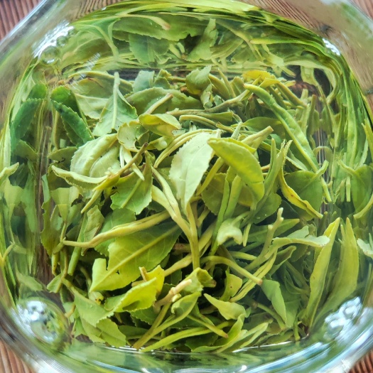 日照日照绿茶晚春细绿茶～5月中旬一芽一叶，滋味鲜爽回甘味醇