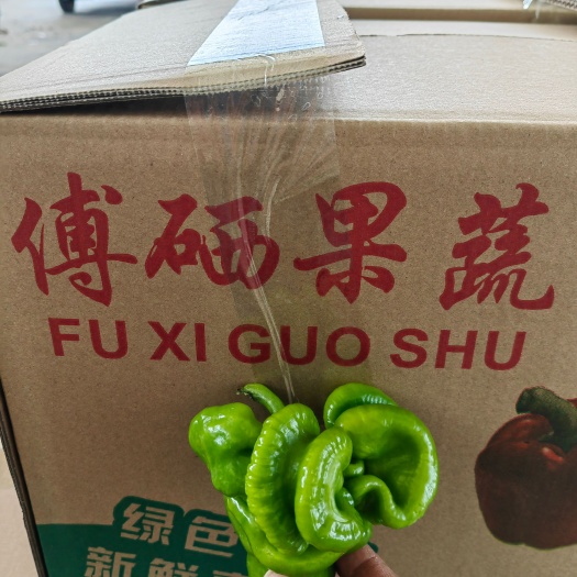 诏安县福建漳州诏安辣椒尖椒黄皮椒螺丝椒场地代办