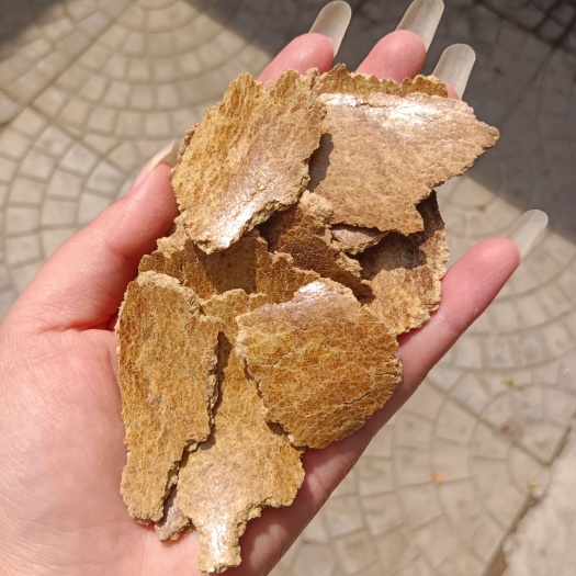 正定县玉米饼颜色黄亮 适合各种养殖饲料加工