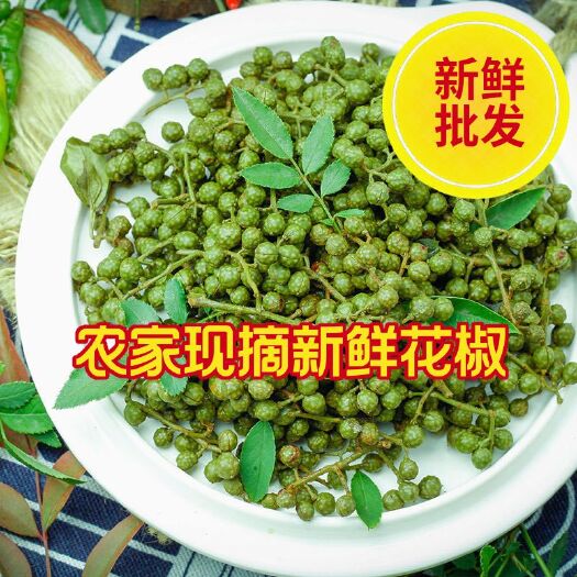 枣庄新鲜青花椒现摘现发嫩花椒头茬制作花椒油鲜花椒陕西大红袍花椒